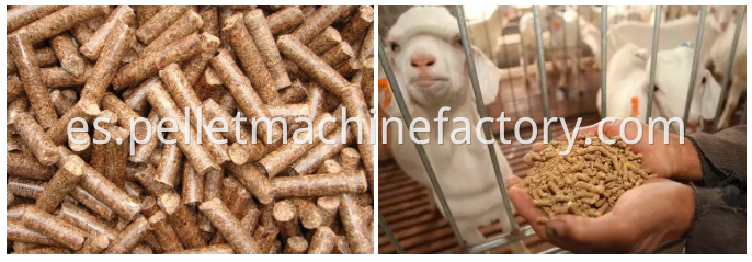 Máquina de pellet de 50kg / h de alimentación animal.